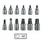 Estuche de puntas Torx, 12 Piezas 1/2''